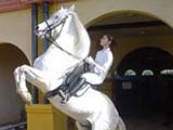 Feria del Caballo de Jerez