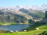 PICOS DE EUROPA
